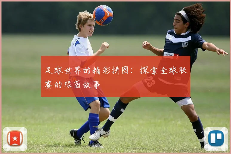 足球世界的精彩拼图：探索全球联赛的绿茵故事