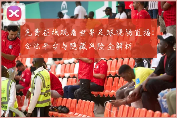 免费在线观看世界足球现场直播：合法平台与隐藏风险全解析